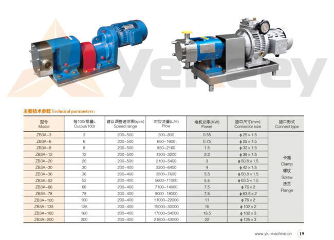 Rotor pump